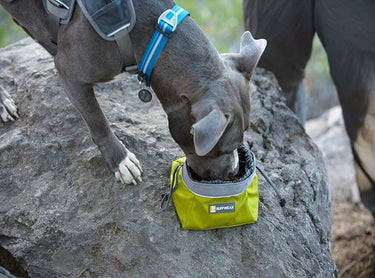 Ruffwear Quencher Cinch Top Packable Dog Bowl - Spring Mountain Medium